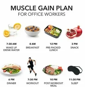 Muscle Gain Meal Plan