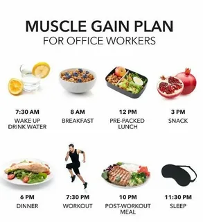Muscle Gain Meal Plan